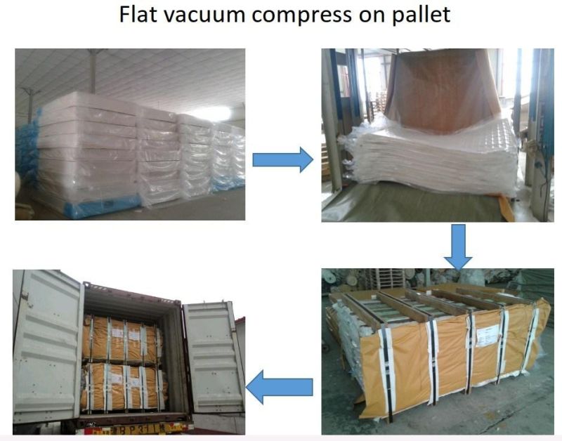 Cheap Price Luxury Latex Pocket Spring Mattress