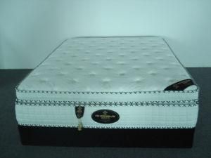 Comfortable Queen Size Mattress of Pillow Top Pocket Spring Mattress (RH-485)