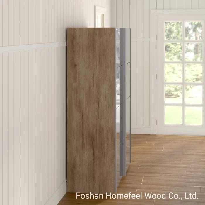 Knocked-Down Modern Design Wooden Bedroom Mirror Sliding Door Wardrobe Clothes Storage Cabinet (HF-WB10)