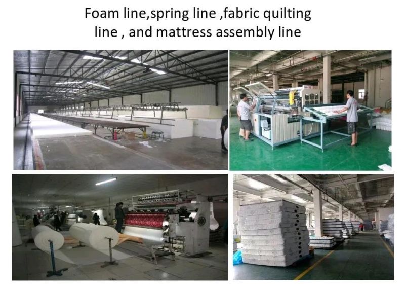 Fireproof Spring Mattress Cheap Price Hotel Mattress and Dormitory Project Coil Spring Mattress
