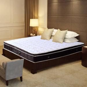 Comfortable Firm Latex Topper Foam Pocket Spring Mattress