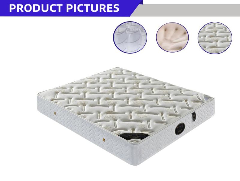 Mattress 75 Inches X 35 Inches Zippered Protector Mattress