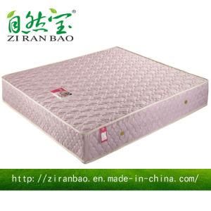 Comfortable Spring Mattress for Two People with Bcc Approved (ZRB-839)