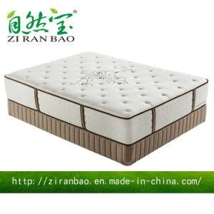 New Model New Design Sun Bed Pocket Spring Hotel Bedding