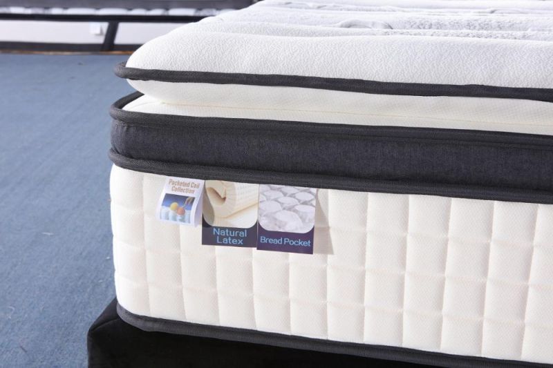 High Grade Bed Pillow Euro Top Design Latex Pocket Spring Mattress