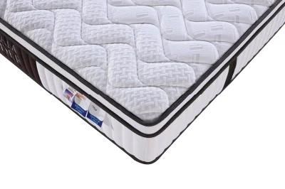 China School Dreamleader/OEM Compress and Roll in Carton Box Fireproof Spring Mattress