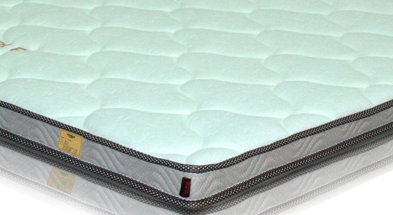 Bed Latex Mattress/Well Spring Mattress/Baby Bed Mattress Sleep