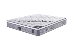 Latex Mattress, Zone Pocket Spring Mattress