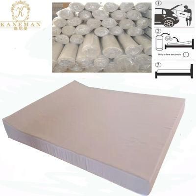 Durable Outdoor Camp Use Waterproof Canvas Fabric Foam Mattress with Pillow