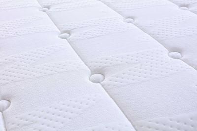 School New Dreamleader/OEM Compress and Roll in Carton Box Safe Mattress Memory Foam