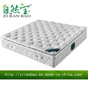 Rollable Compressed Aloe Vera Memory Foam Mattress (ZRB-866)
