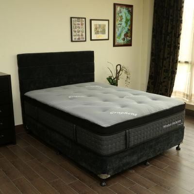Latex Full Size Natural Spring Mattress Double King Queen Bed Room Furniture Mattress