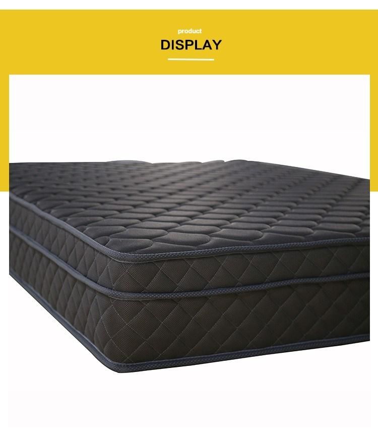 Modern Style China Double Nature Latex Floor Tatami Independent Pocket Spring Mattress From Manufacturer