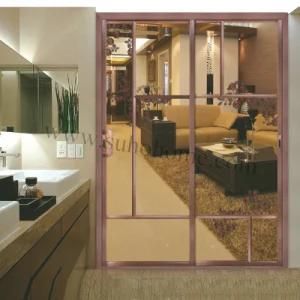 Environmental Home/Office Sliding Door with Single Printed Art Glass (Super avatar)