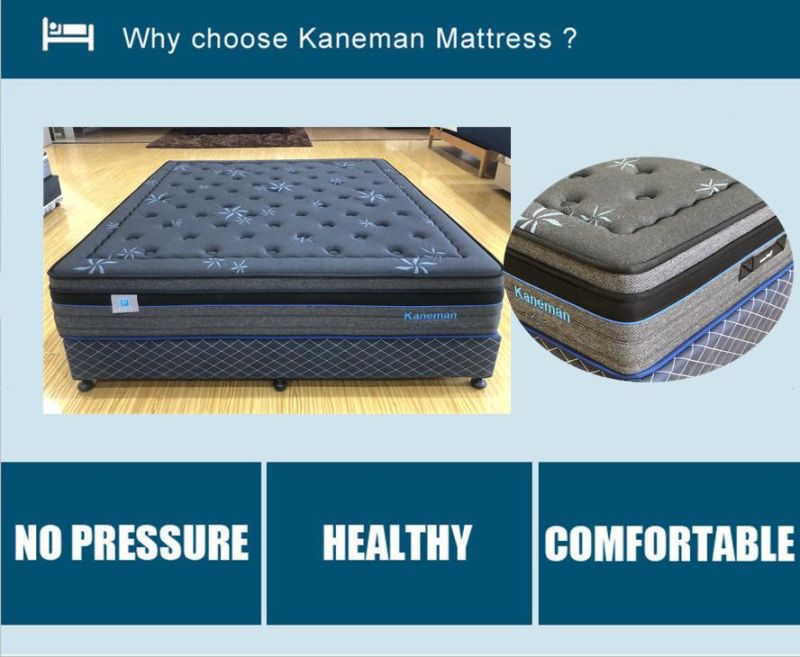 Rest Well Latex Spring Mattress Online Selling Pocket Spring Mattress in a Box