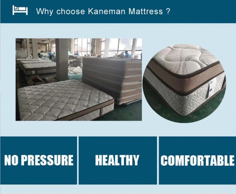 King Spring Mattress Firm Bed Mattress Compress Bedroom Mattress