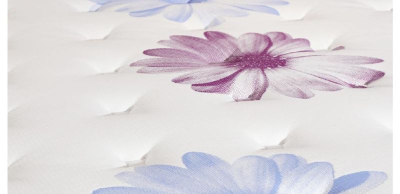 Memory Foam and Soft Foam Euro Mattress