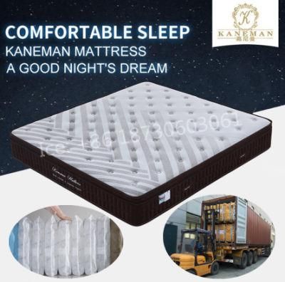 Bedroom Mattress Memory Foam Mattress Pocket Coil Spring Mattress in Pallet