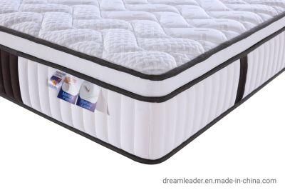 Dreamleader/OEM Hotel Compress and Roll in Carton Box Backcomfort Backcare