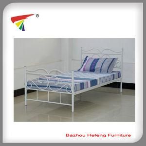Modern and Simple Single Bed (HF049)