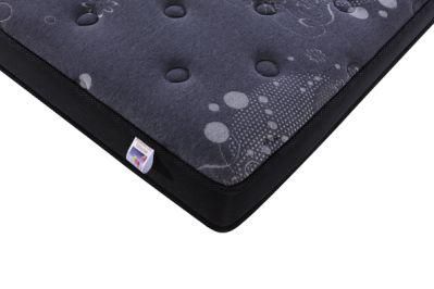Medium School Dreamleader/OEM Compress and Roll in Carton Box Walmart Backcare