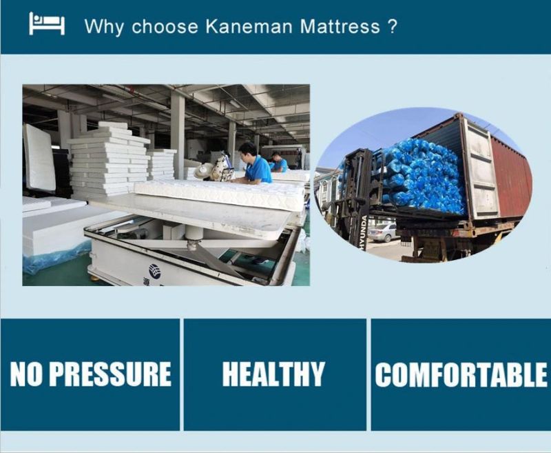 Thin Foam Mattress 6inch Bed Mattress Cheap Mattress