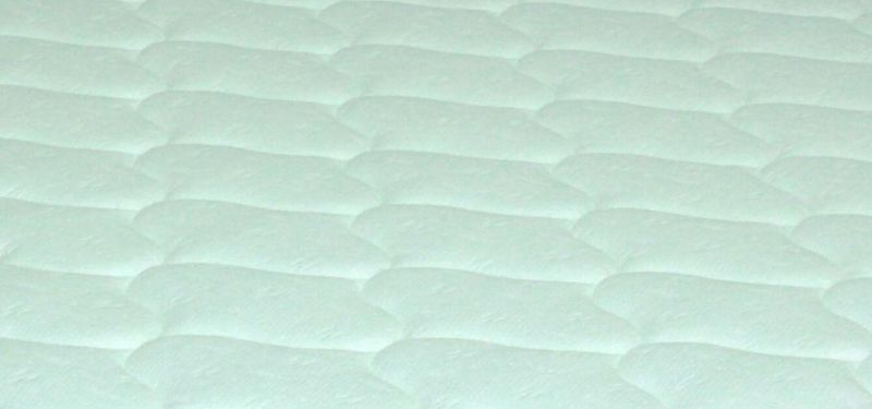 Bed Latex Mattress/Well Spring Mattress/Baby Bed Mattress Sleep