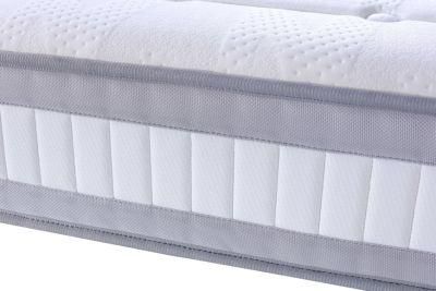 Home School Dreamleader/OEM Compress and Roll in Carton Box Zinus Backcomfort