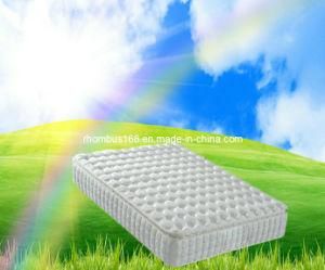 SGS Foam Mattress with Pocket Spring (RH105)