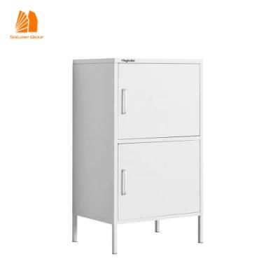 Great Quality Two Swing Door Cabinet with 2 Handle