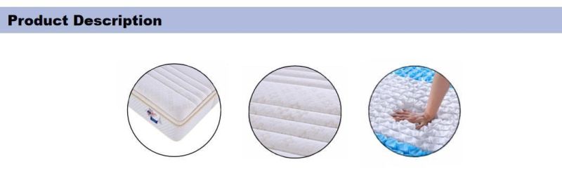 Dreamleader Memory Foam Pocket Spring Mattress Compressed Bed