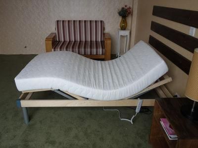 Electric Adjustable Bed with Memory Foam Mattress (Comfort 800)