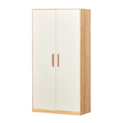 Color/ Customized Steel Almirah Filing Cabinet Clothes Wardrobe with 2 Doors