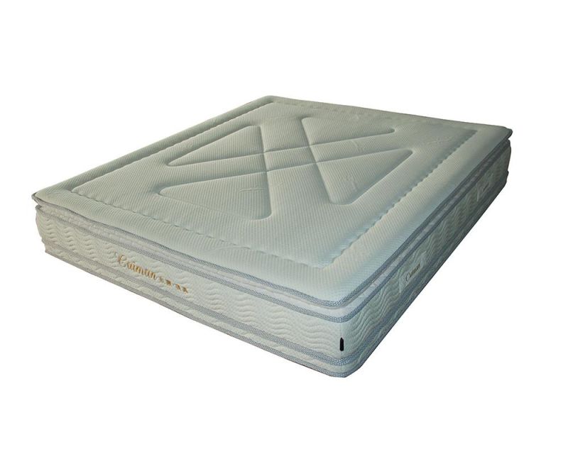 Wholesale Price Factory Price Bedroom Mattress for Home