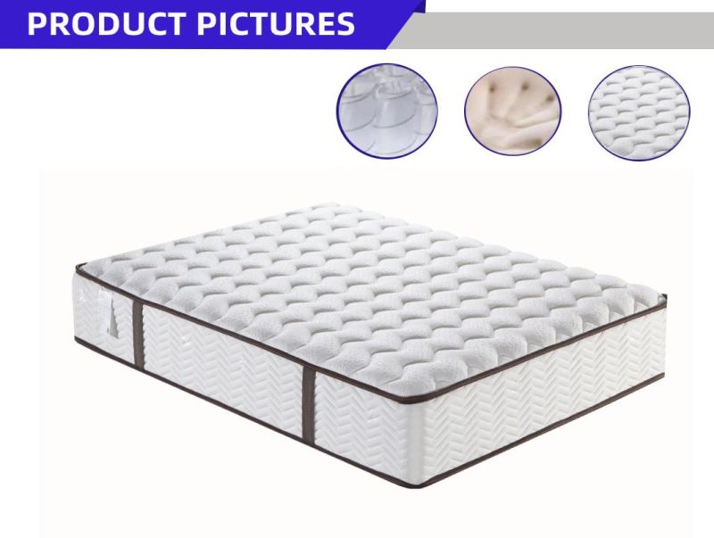 Hotselling Home Soft High Quality Mattress with Latex/Pocket Spring