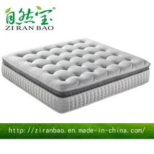 Double Pillow Top Pocket Spring Mattress (ZRB-808)