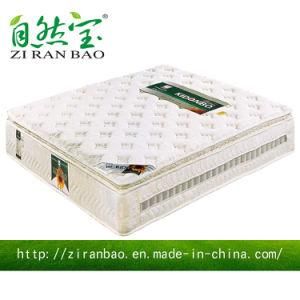 High Quality Memory Foam Full Size Pocket Spring Mattress (ZRB-844)