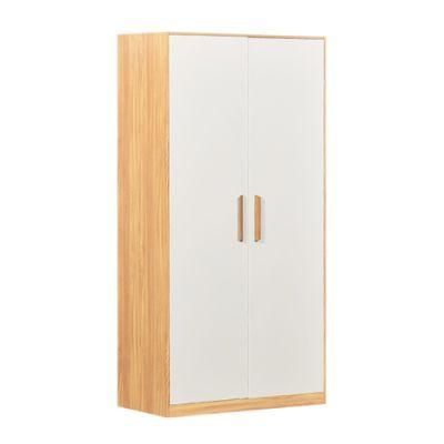 Modren Multifunctional Steel Clothes Storage Cabinet Cupboard Wardrobe