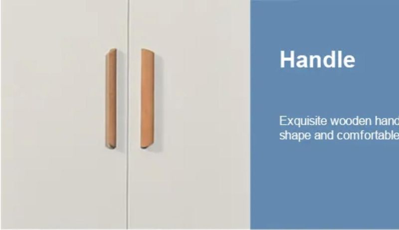 Modren Multifunctional Steel Clothes Storage Cabinet Cupboard Wardrobe