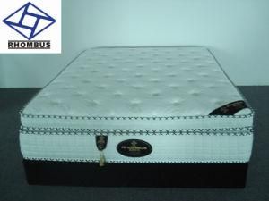 Memory Foam Pocket Coil Spring Mattress (FL-285)