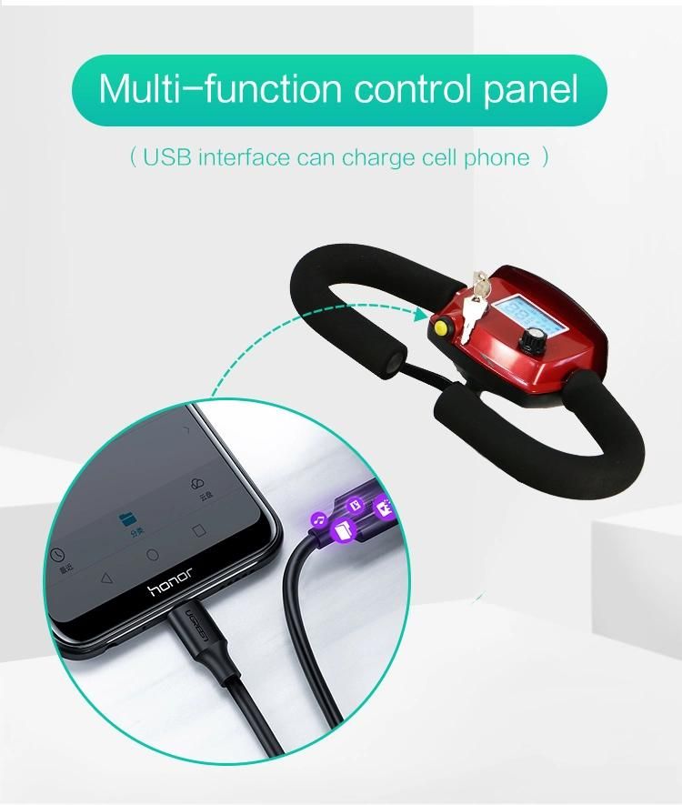 Factory Produces Four Wheel Lithium Battery Electric Scooters with CE and FDA