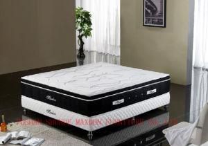 Mattress/New Style Mattress/Spring Mattress (MA19)