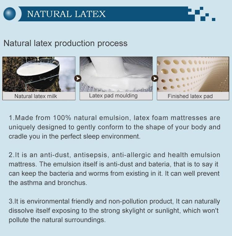 Compress and Roll Pack Memory Foam Mattress in Box From China Wholesale Manufacturer