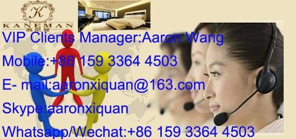 Fireproof Spring Mattress Cheap Price Hotel Mattress and Dormitory Project Coil Spring Mattress