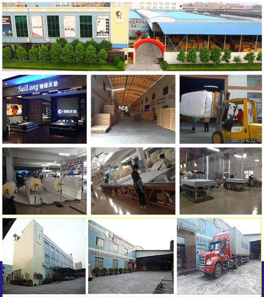 Hot Style Mattress Hotel Mattress Good Sleep Mattress (SL2016)