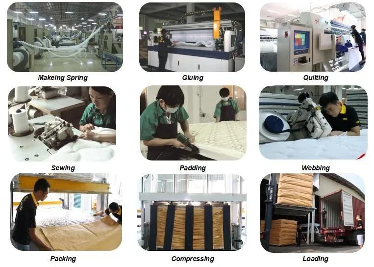 Hotel Furniture Compressed Spring Mattress for Double Bed (SL1917)