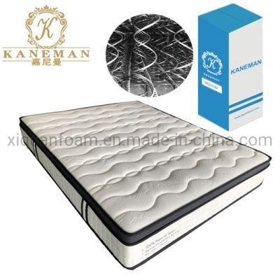 Online Mattress Coil Spring Mattress King Bedroom Mattress