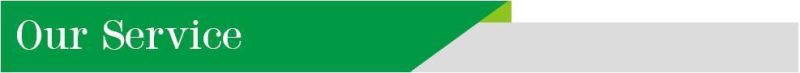 High Density Cotton Fabric Foam King Size Popular Latex Mattress Supplier High Density