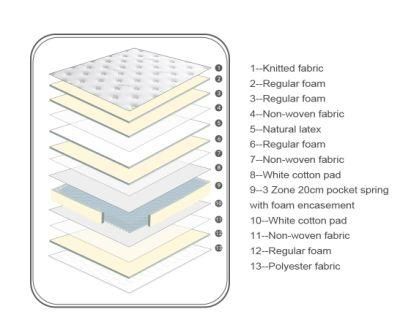Pocket Spring + Encasement Dreamleader/OEM Compress and Roll in Carton Box Sealy Foam Mattress