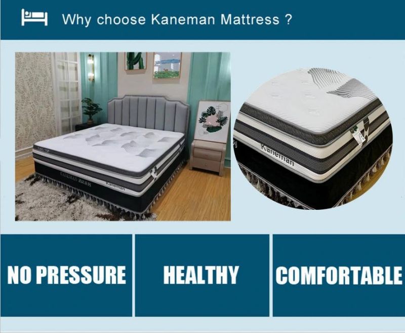 5000 Spring Mattress Custom Back Pain Mattress Memory Foam 12inch Mattress